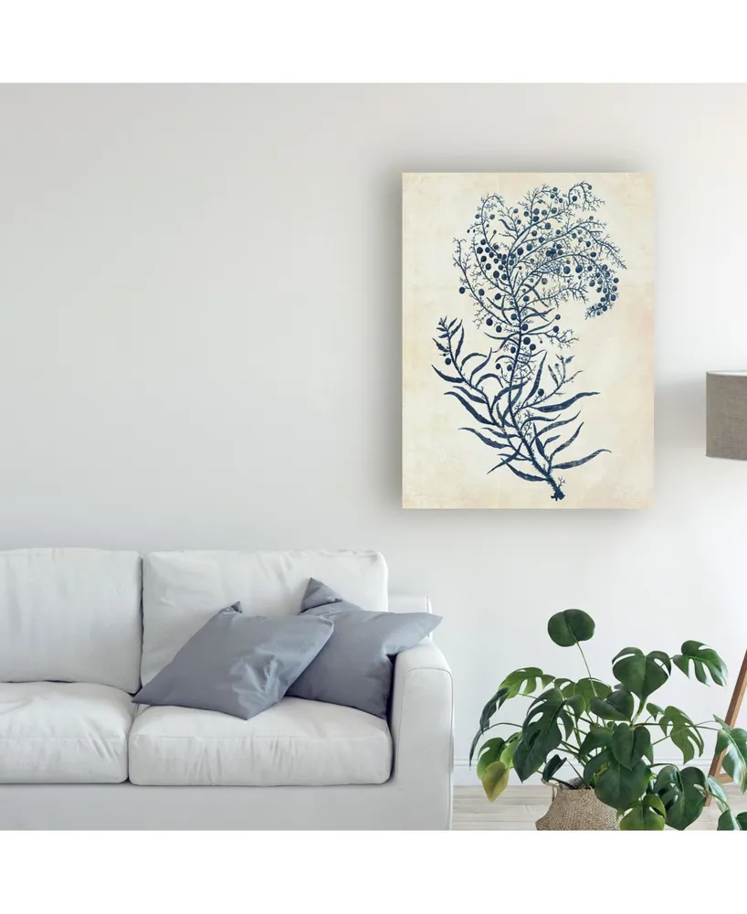 Fab Funky Indigo Blue Seaweed C Canvas Art