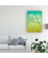 Pablo Esteban White Flower Branch 1 Canvas Art - 15.5" x 21"