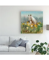 Danhui Nai Farm and Field Ii Canvas Art - 19.5" x 26"