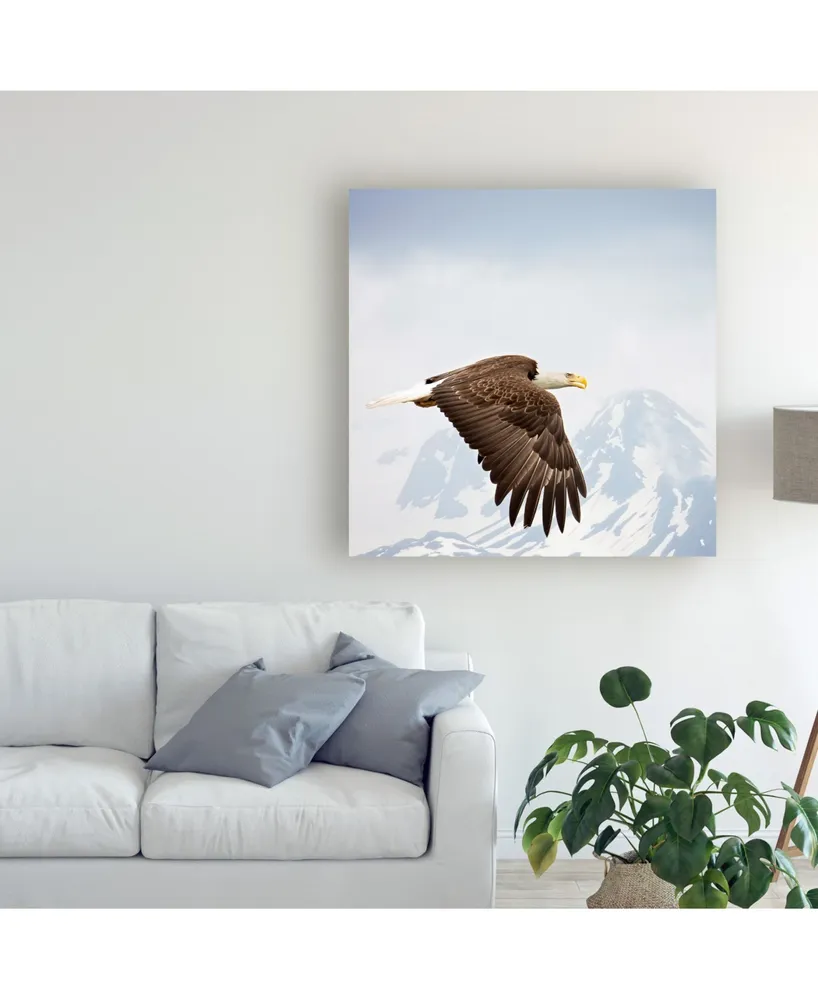 Ph Burchett Majestic Eagle I Canvas Art