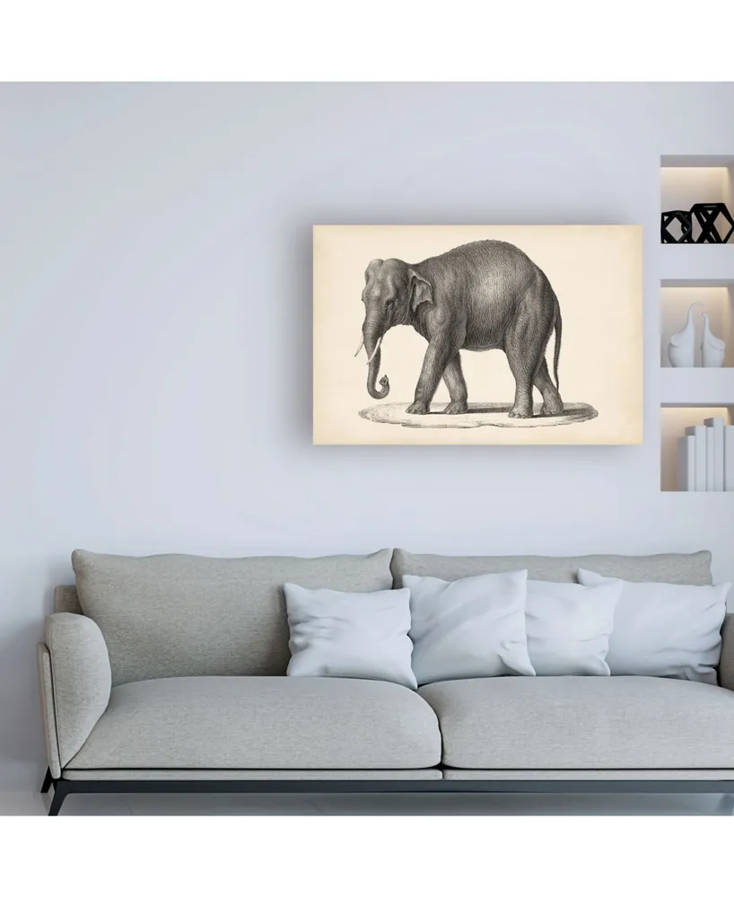 Brodtmann Brodtmann Elephant Canvas Art