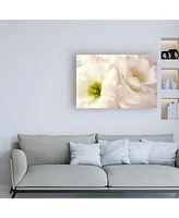 Christine Zalewski Pink Blossoms I Canvas Art - 27" x 33.5"