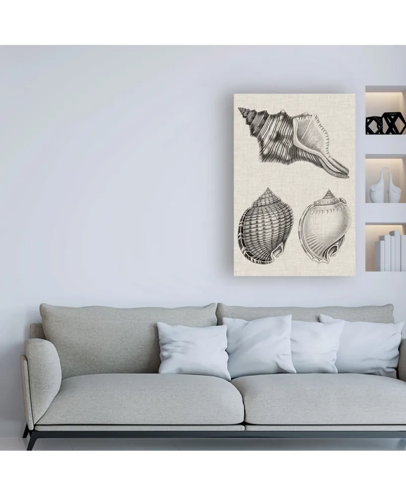 Vision Studio Charcoal & Linen Shells V Canvas Art - 15.5" x 21"