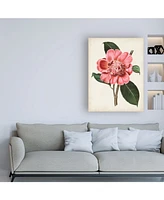 Curtis Carnelian Blooms I Canvas Art - 27" x 33.5"