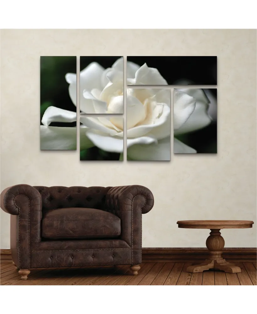 Kurt Shaffer Lovely Gardenia Multi Panel Art Set 6 Piece - 49" x 19"