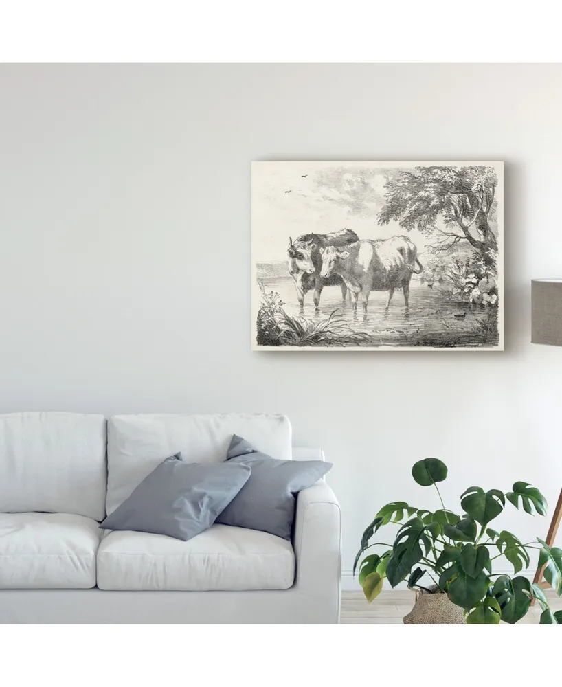 Unknown Rural Charms Ii Canvas Art