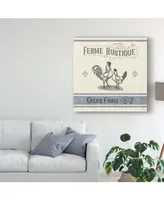 Pela Studio French Farmhouse Ii Canvas Art