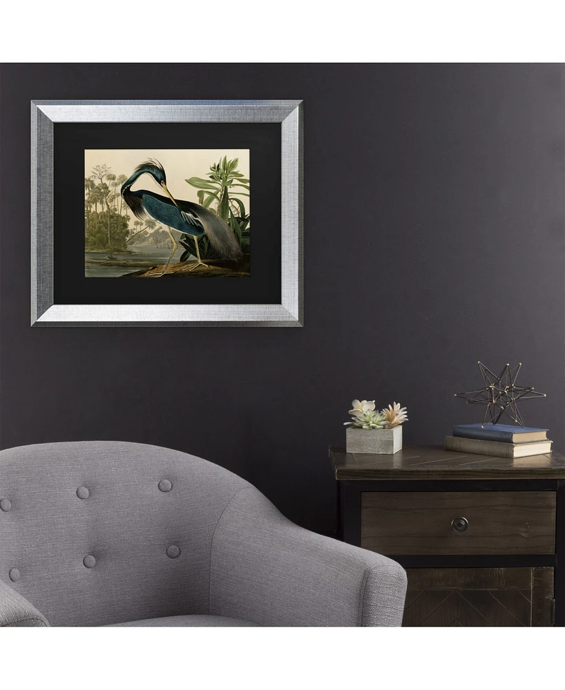 John James Audubon Louisiana Heron Matted Framed Art