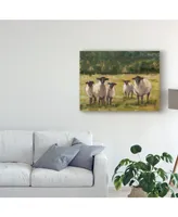 Ethan Harper Sheep Family I Canvas Art