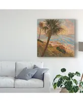 Graham Reynolds Palm Breeze Ii Canvas Art - 15" x 20"