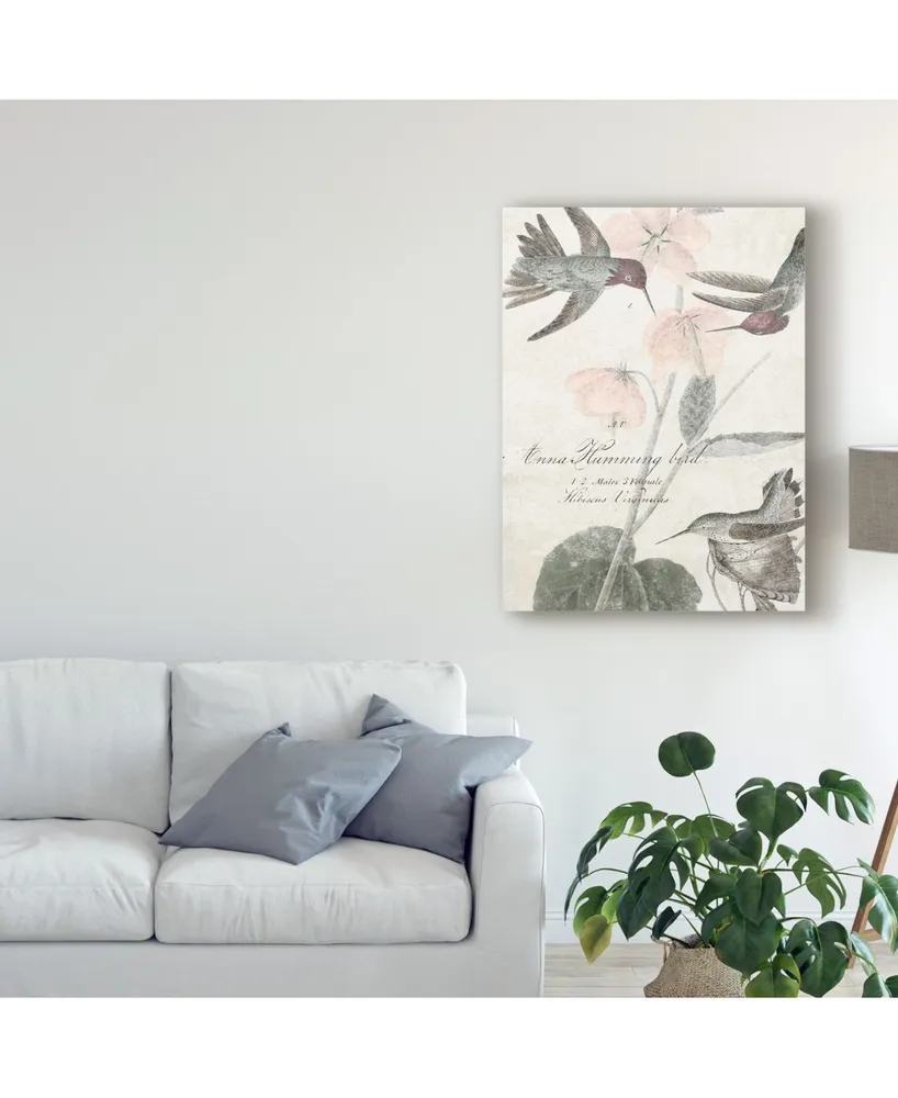 Studio W Soft Hummingbirds I Canvas Art