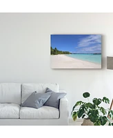 American School Bora Bora Beach Canvas Art - 37" x 49"