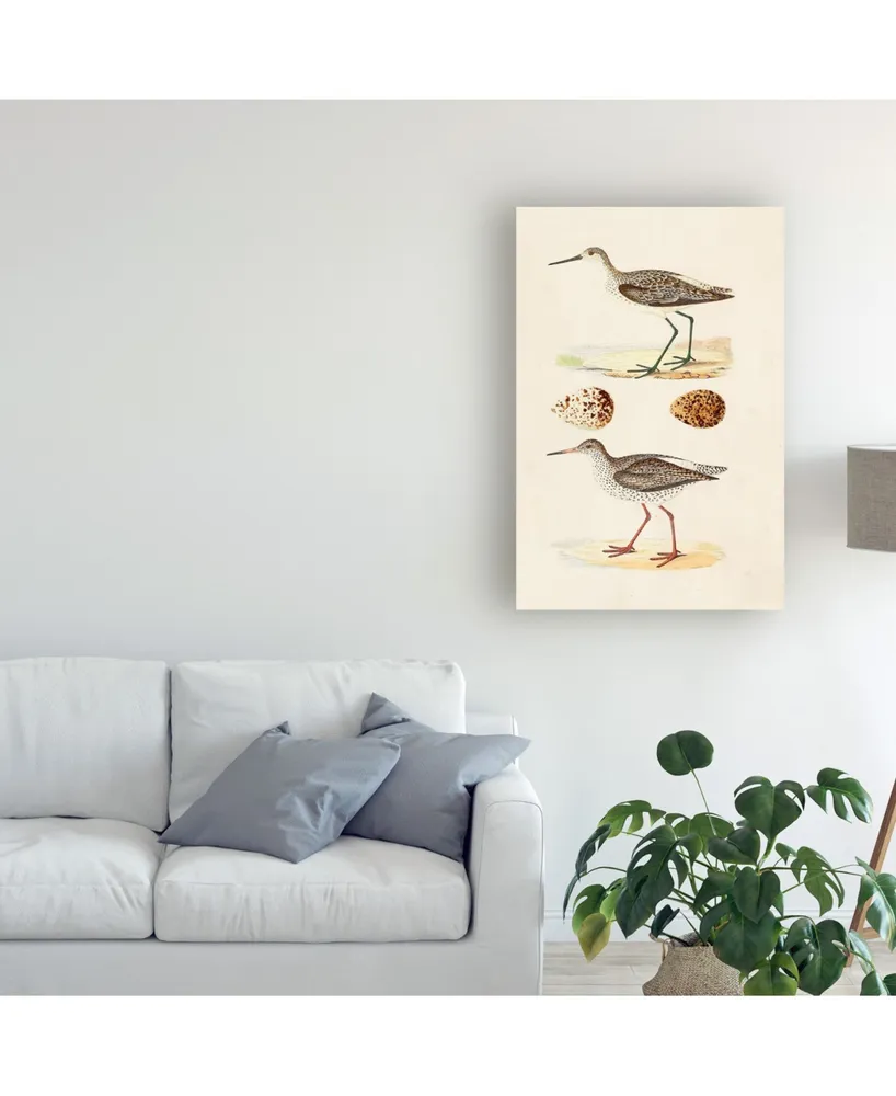 Morris Sandpipers and Eggs Ii Canvas Art