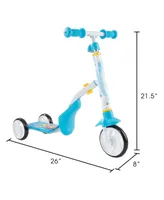 Lil' Rider 2-in-1 Convertible Scooter