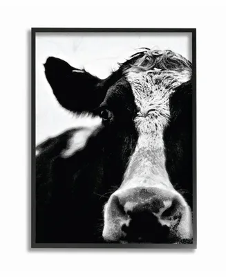 Stupell Industries Cow Black and White Close Up Framed Giclee Art