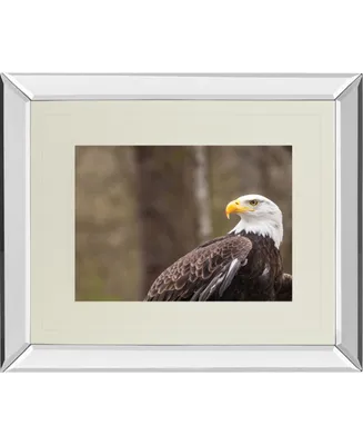 Classy Art Majestic Eagle by Gary tog Double Matted Mirror Framed Wall Art - 34" x 40"