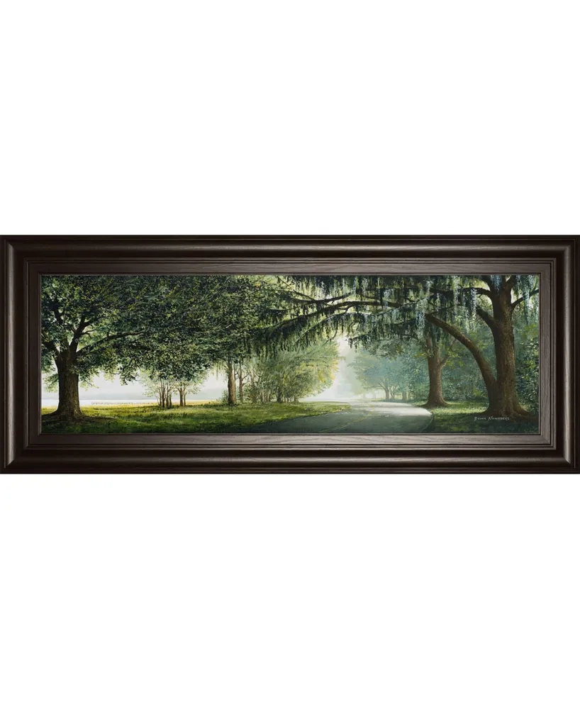 Classy Art Lake Shore Drive by Bruce Nawrocke Framed Print Wall Art - 18" x 42"