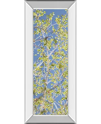 Classy Art Spring Poplars I by Sharon Chandler Mirror Framed Print Wall Art - 18" x 42"