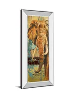 Classy Art New Safari on Teal Il by Patricia Pinto Mirror Framed Print Wall Art - 18" x 42"