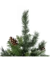 Northlight 4' Snowy Delta Pine with Pine Cones Artificial Christmas Tree - Unlit
