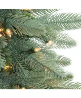 Northlight 9' Pre-Lit Washington Frasier Full Artificial Christmas Tree - Clear Lights