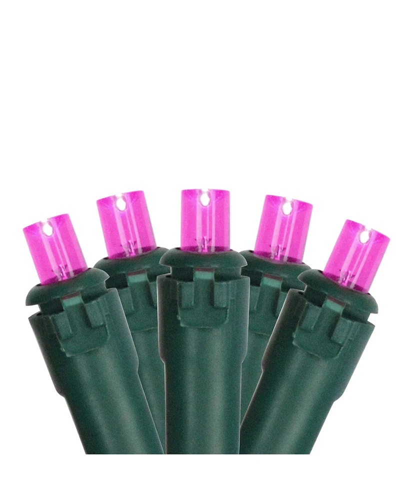 Northlight Set of 50 Led Wide Angle Christmas Lights on Green Wire
