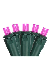 Northlight Set of 50 Led Wide Angle Christmas Lights on Green Wire