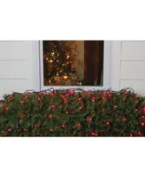 Northlight 4' x 6' Red Mini Incandescent Christmas Net Lights - Green Wire