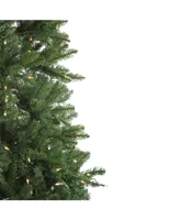 Northlight 6.5' Pre-Lit Led Instant Connect Neola Fraser Fir Artificial Christmas Tree - Dual Lights