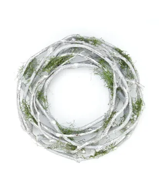 Northlight 11" White Twig and Green Moss Artificial Spring Wreath