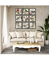 Paragon Avian Framed Wall Art Set of 9, 17" x 17"