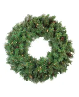 Northlight Pre-Lit Royal Oregon Pine Artificial Christmas Wreath -Inch Clear Lights