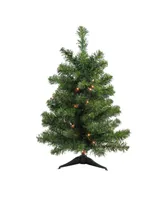 Northlight 2' Pre-Lit Canadian Pine Artificial Christmas Tree - Clear Lights