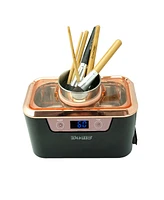 iSonic DS310 Miniaturized Commercial Ultrasonic Cleaner