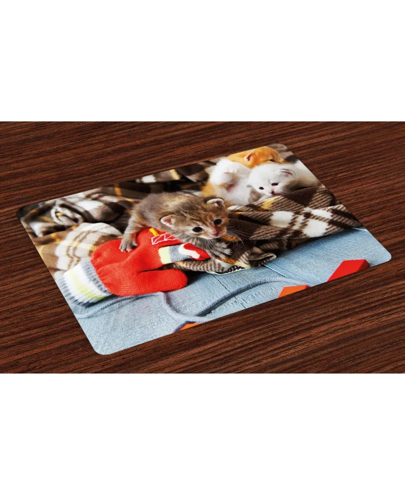 Ambesonne Cats Place Mats, Set of 4