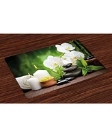 Ambesonne Spa Place Mats, Set of 4