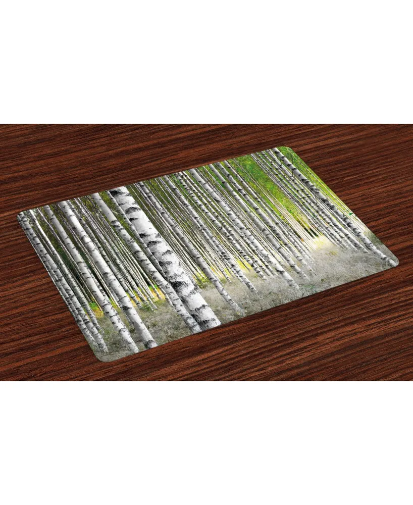 Ambesonne Birch Tree Place Mats, Set of 4