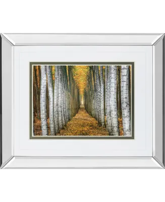 Classy Art Tree Farm by Cahill Mirror Framed Print Wall Art, 34" x 40"