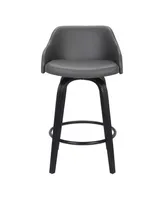 Alec 30" Counter Stool