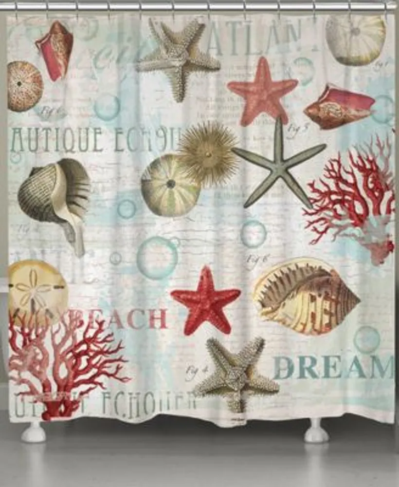 Dream Beach Shells Hand Towels - Laural Home