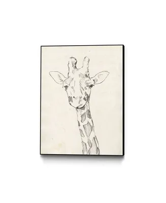 Giant Art 14" x 11" Giraffe Portrait Ii Art Block Framed Canvas