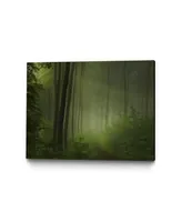 Giant Art 20" x 16" Maier - Forest Morning Museum Mounted Canvas Print