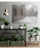 Giant Art 40" x 30" Foggy Lichen Ii Museum Mounted Canvas Print
