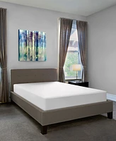 Sealy Soft Comfort Fitted Mattress Protector