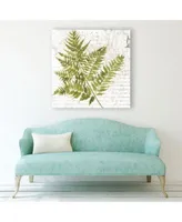 Giant Art Fern I Museum Mounted Canvas Print