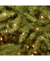 National Tree 7' Dunhill Fir Hinged Tree with 700 Clear Lights + PowerConnect