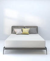 Dusk & Dawn 12" Medium Mattress- Queen