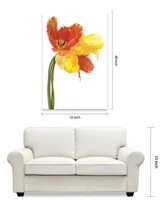 Empire Art Direct Orange Yellow Parrot Tulip on White Frameless Free Floating Tempered Glass Panel Graphic Wall Art, 48" x 32" x 0.2"