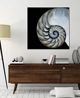 Empire Art Direct Pearly Nautilus Frameless Free Floating Tempered Glass Panel Graphic Wall Art, 36" x 36" x 0.2"