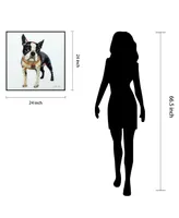 Empire Art Direct Boston Terrier 1 and 2 Reverse Printed Art Glass Collection and Anodized Aluminum Frame Glass Dog Wall Art, 24" x 24" x 1"